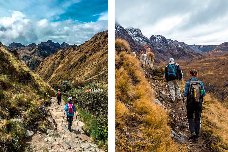 Lares Trek vs Inca Trail
