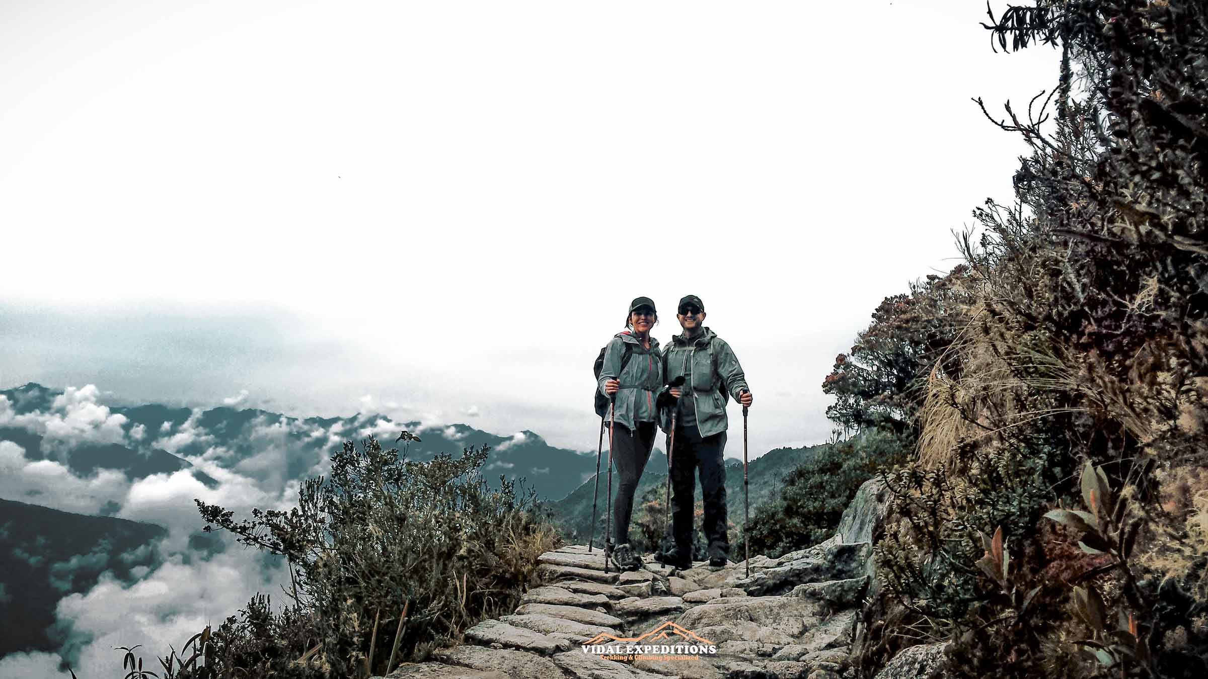 Small Groups & Big Adventures