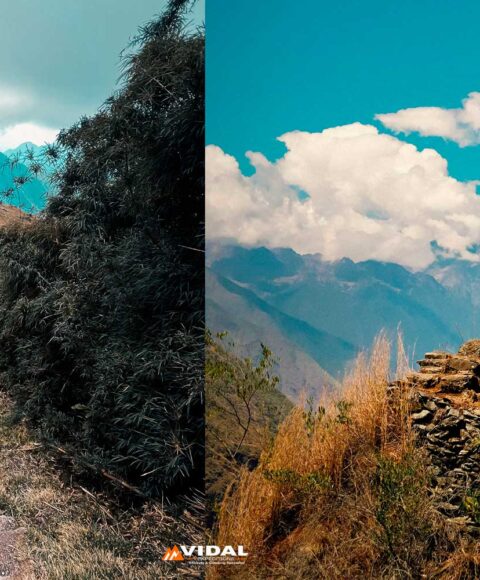 Small Groups & Big Adventures