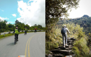 Comparing Inca Jungle and Inca trail