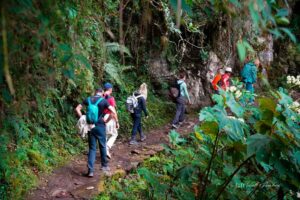 Descending the Inca Trail to Wiñaywayna