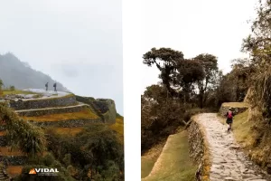 What makes special the Inca Trail? Stunning landscapes and Inca ruins 