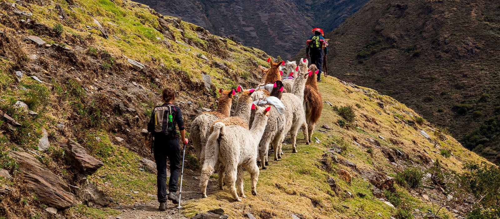 Hiking on Lares Trek to Machu Picchu